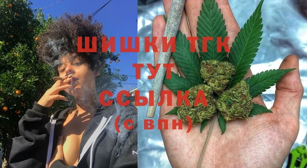 метадон Няндома