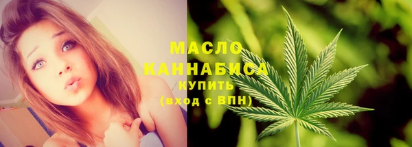 индика Нязепетровск
