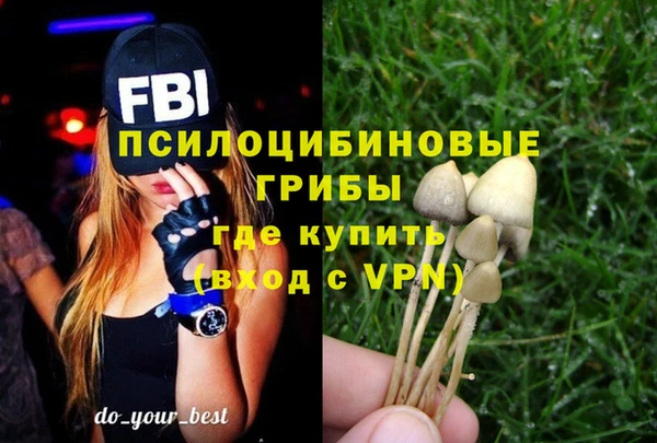 индика Нязепетровск