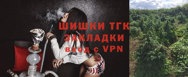 apvp Новозыбков