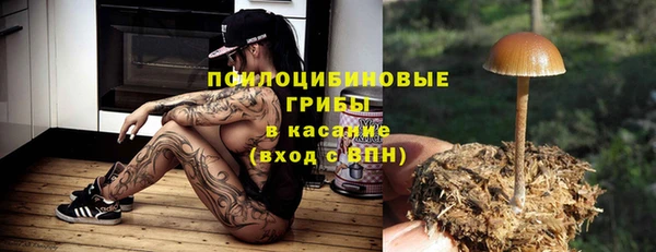 спиды Осинники
