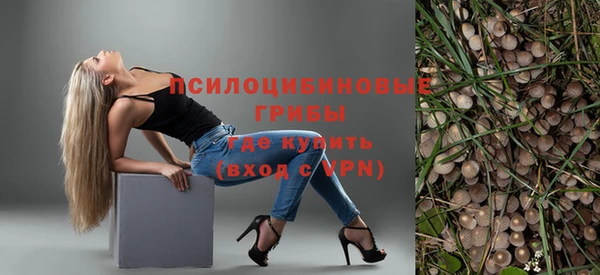 индика Нязепетровск