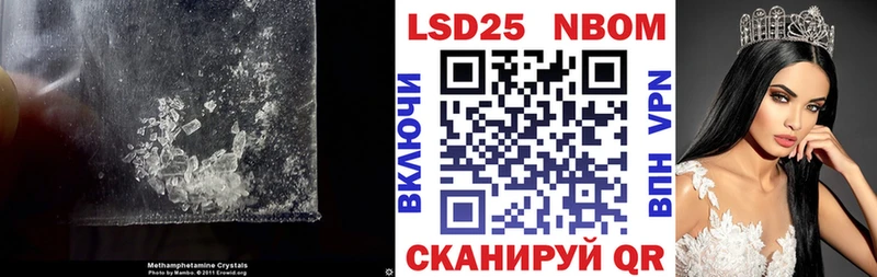 дарнет шоп  Куртамыш  мега рабочий сайт  Лсд 25 экстази кислота 