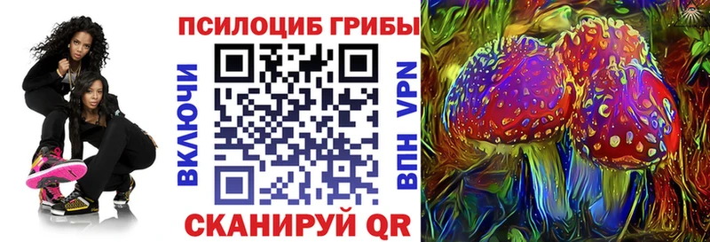 Псилоцибиновые грибы Psilocybe  Куртамыш 